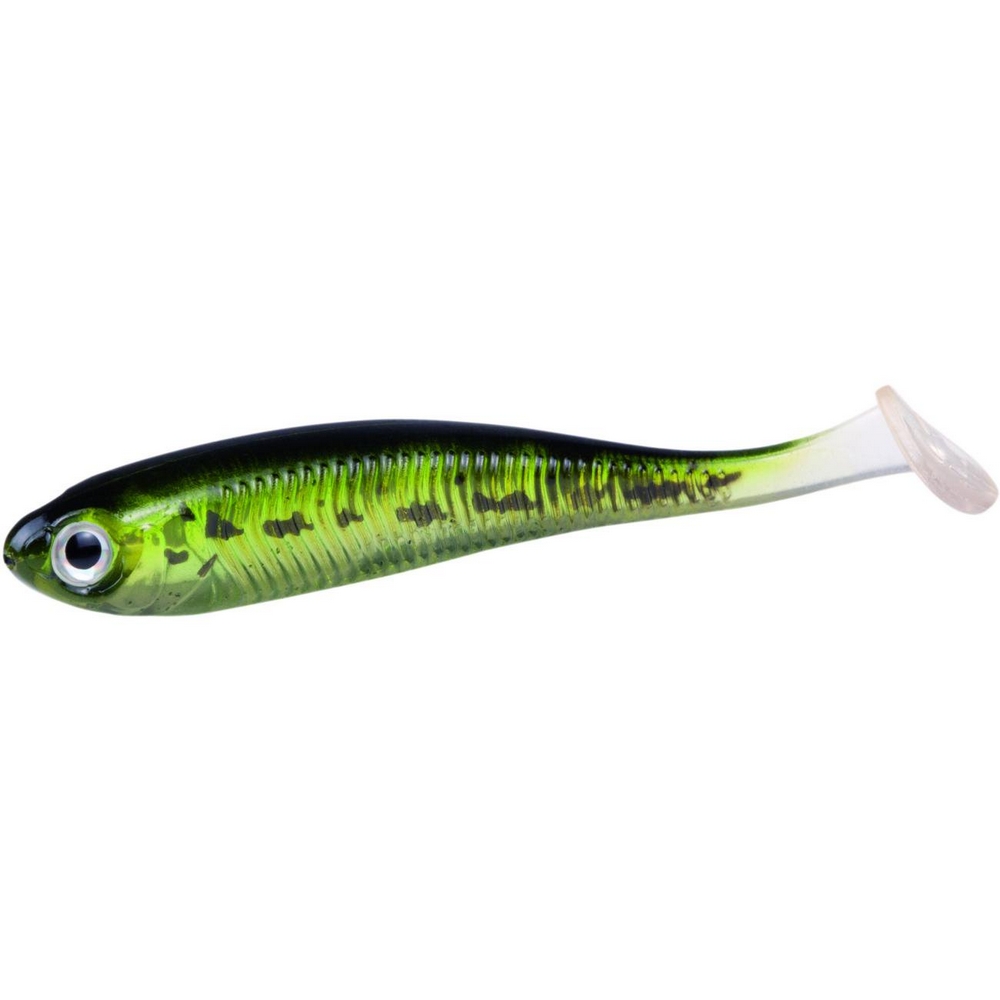 Jackson Active Shad